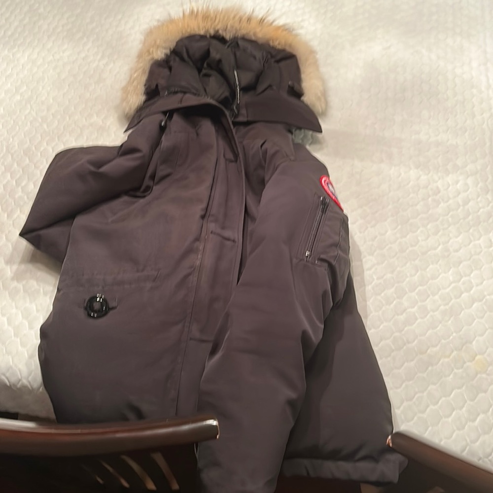 Canada goose